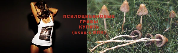 молекула духа Зерноград